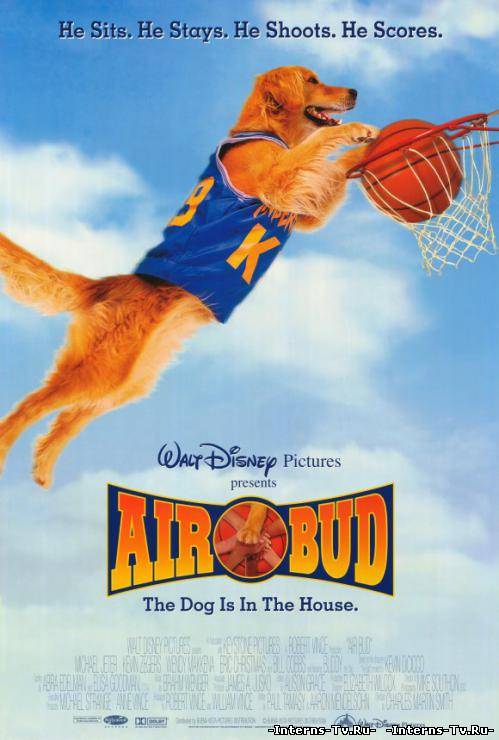скачать Король воздуха / Air Bud (1997) через торрент