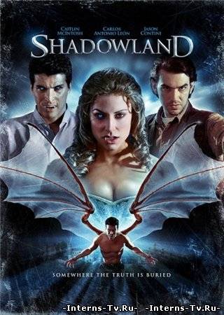 скачать Царство теней / Shadowland (2010) DVDRip через торрент