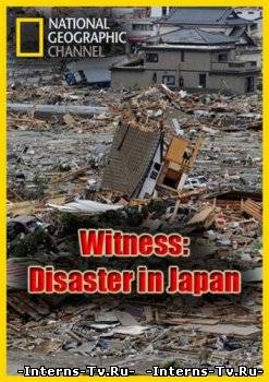 скачать National Geographic : Свидетели японской катастрофы через торрент